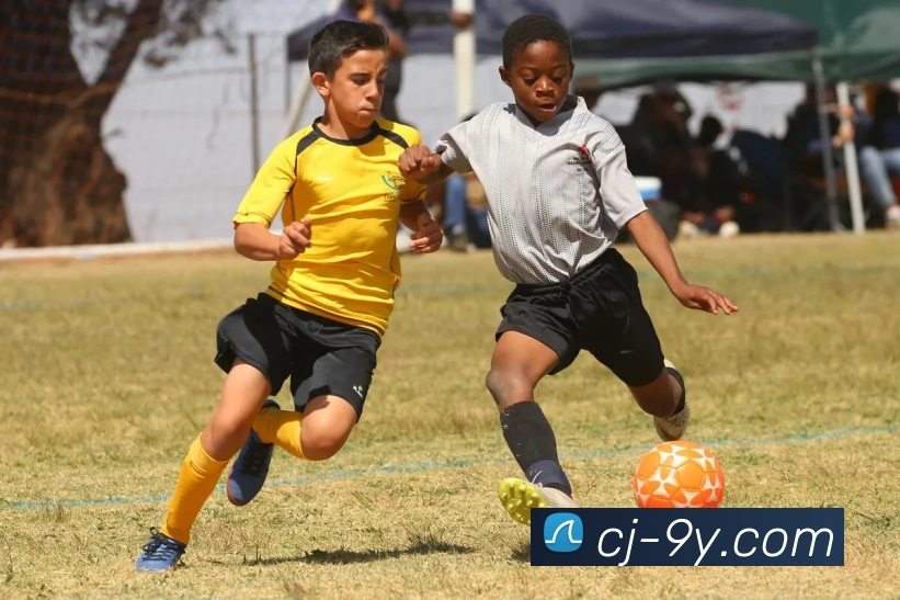 多媒体互动体验