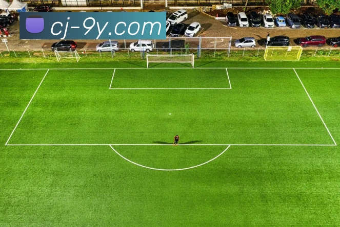 九游官网APP 体育赛事宣传图